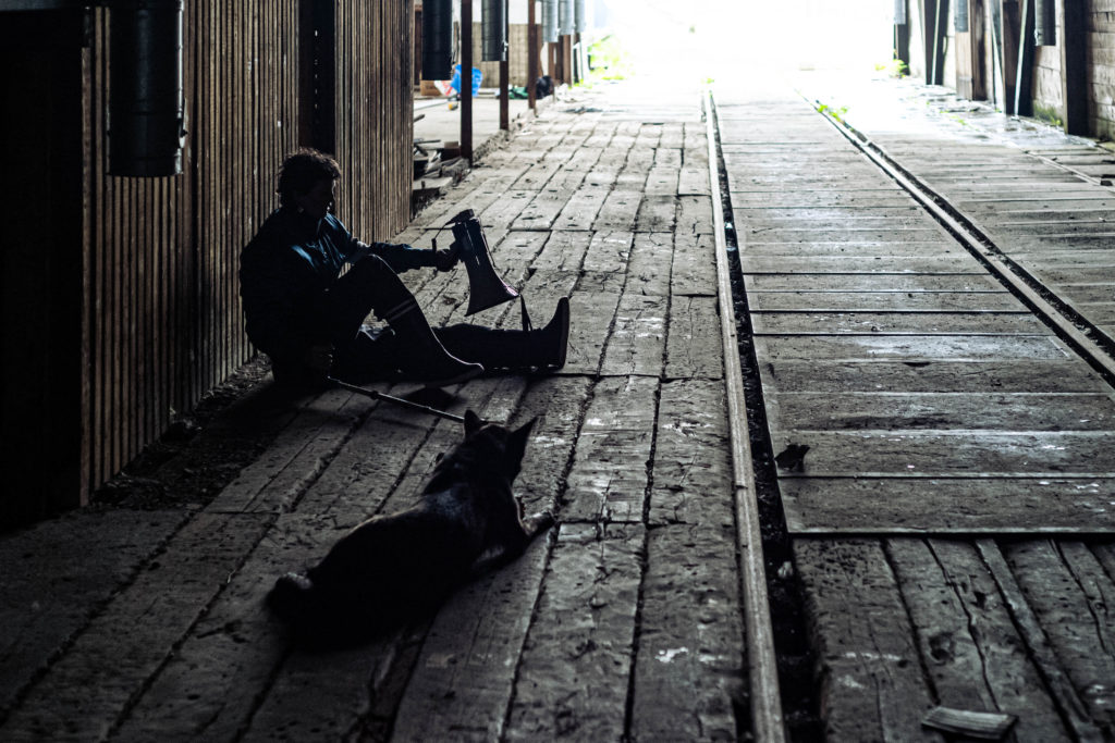 Troubadouriste itinérante et chienne professionnelle. ©RomainSciacca